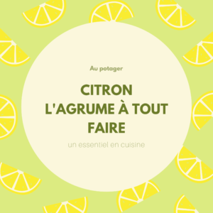 citron l'agrume à tout faire