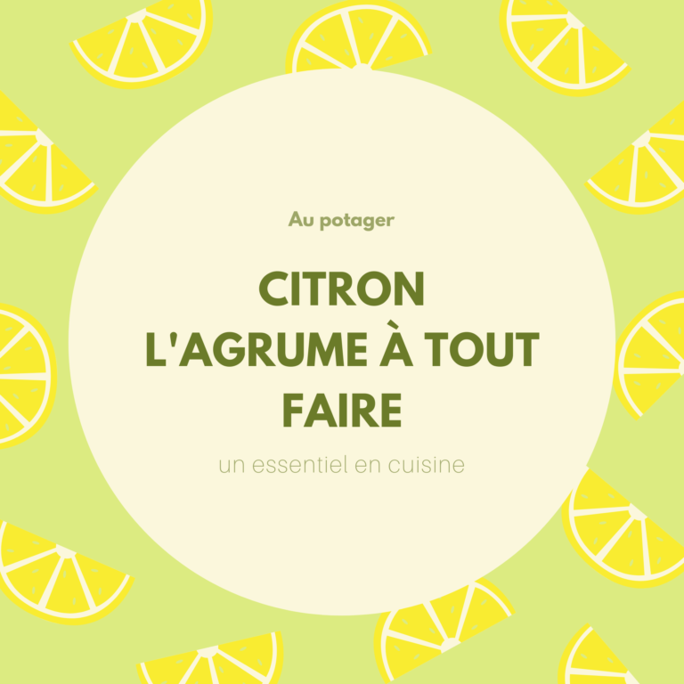 citron l'agrume à tout faire