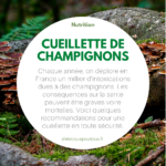 champignons sauvages