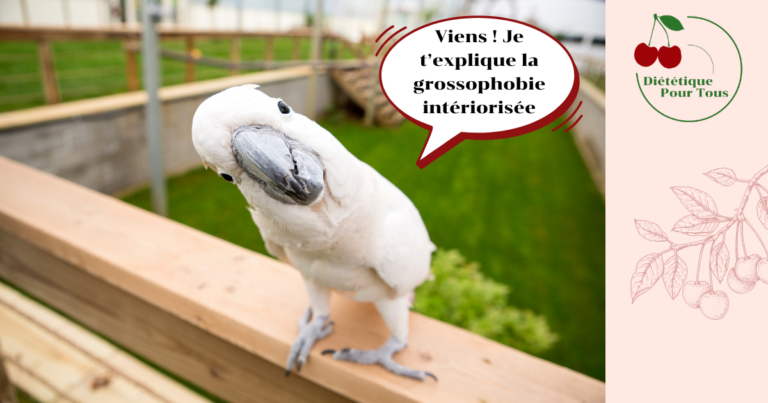 grossophobie intériorisée